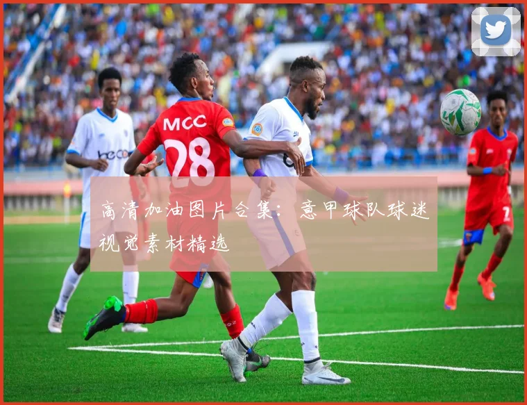 高清加油图片合集：意甲球队球迷视觉素材精选