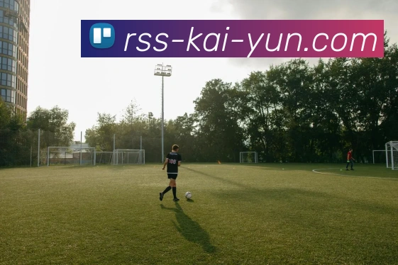 高清图片欣赏：意甲球队阵容战术板图展示